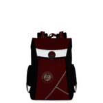 image-back-to-school-roland-garros-14-plecak-20-l-niebieski8-1628763447.3666.jpg