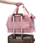 image-pawsenger-pet-carrier-atmosphere-airline-approved10-1758721437.8953.png
